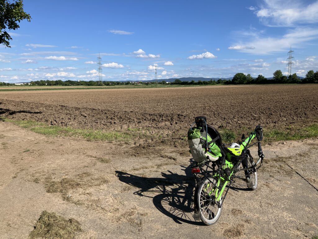 Hessisches Ried bei Griesheim (Bild: Klaus Dapp)