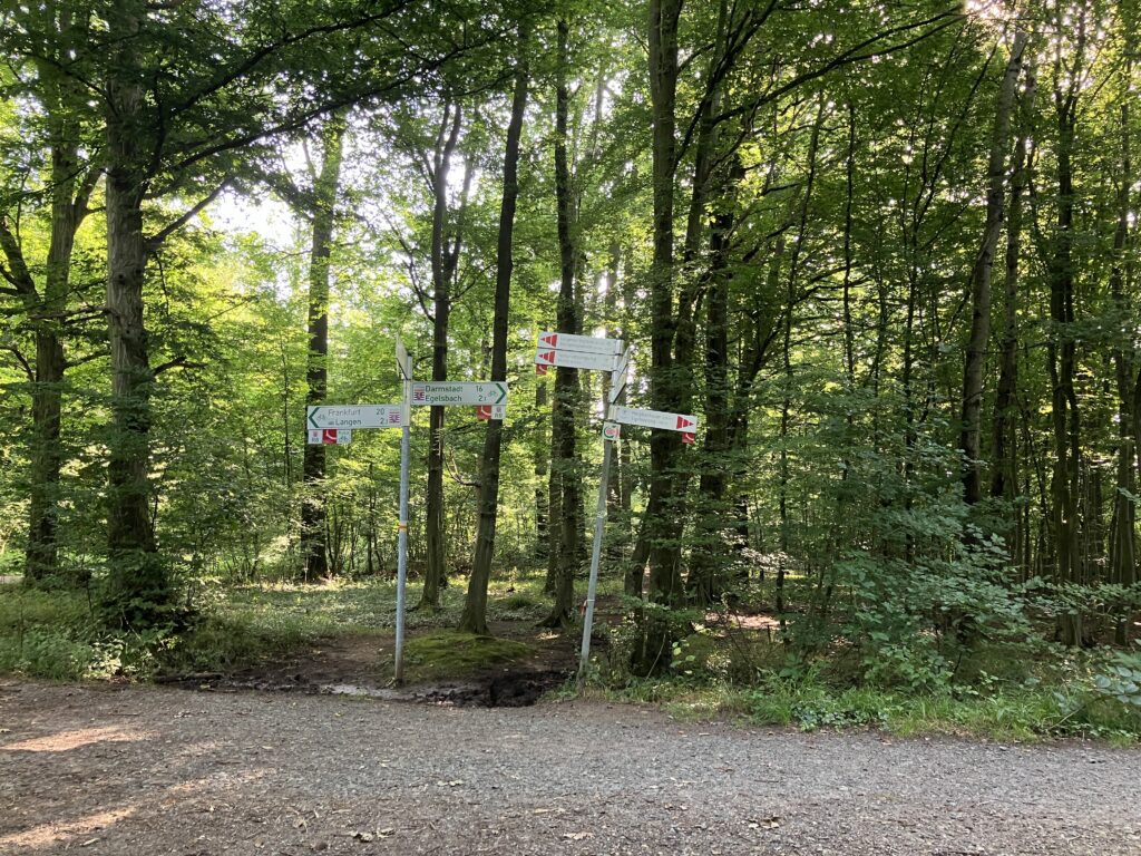 Hessischer Radfernweg R8 bei Langen (Bild: Klaus Dapp)