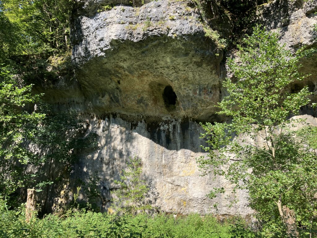 Karstfelsen im Veldensteiner Forst (Bild: Klaus Dapp)