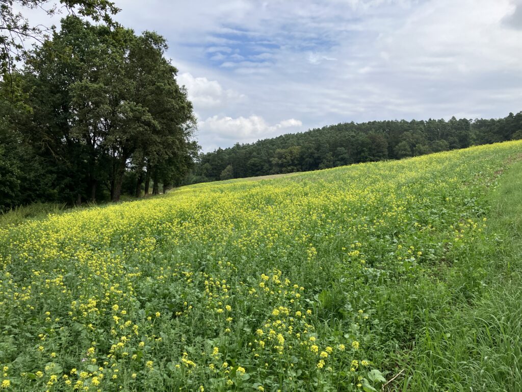 Tal des Haselbachs bei Bruckberg (Bild: Klaus Dapp)