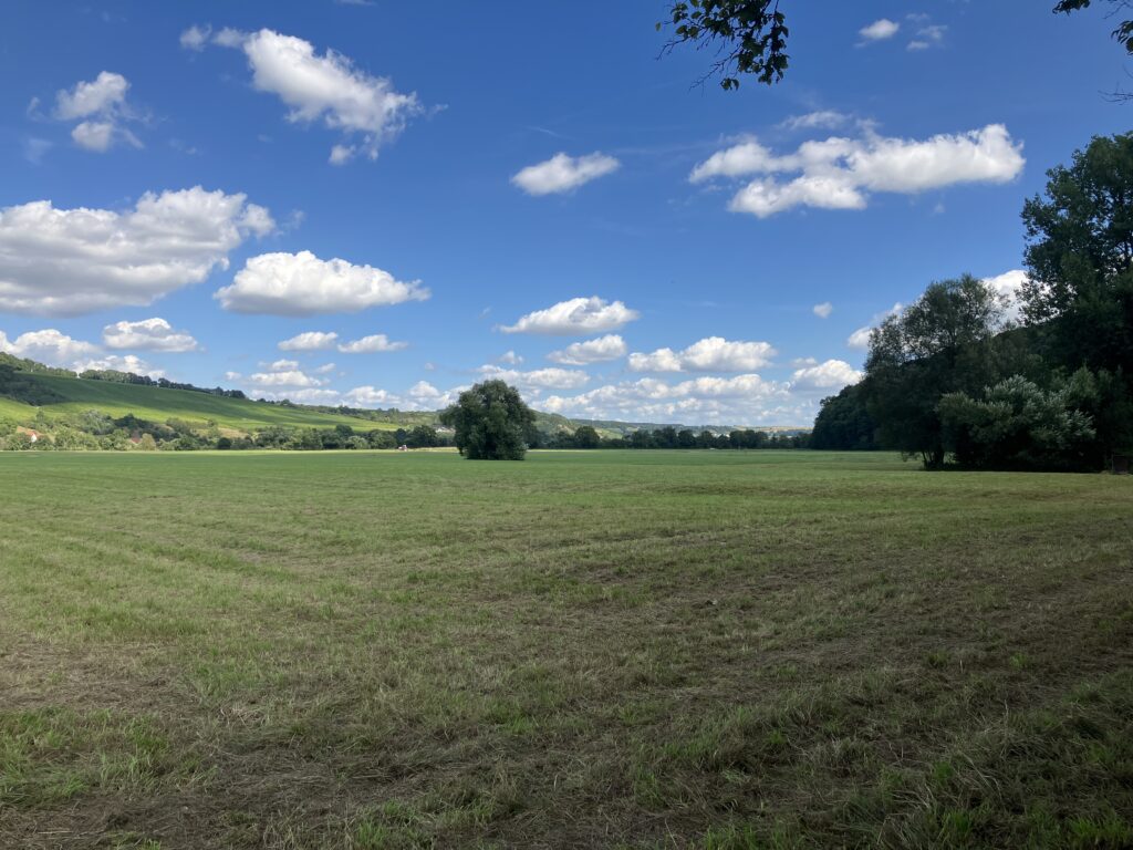 Blick in das Jagsttal bei Krautheim (Bild: Klaus Dapp)