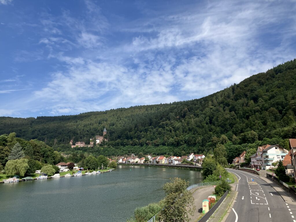 Zwingenberg (Baden) - Blick auf den Neckar und Schloss Zwingenberg (Bild: Klaus Dapp)