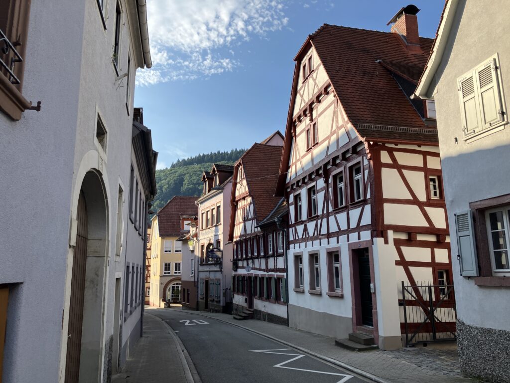 Neckargemünd - Neckarstraße (Bild: Klaus Dapp)